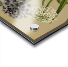 Album van Eeden : Haarlems flora : 1872-1881 Acrylic print