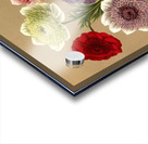 Album van Eeden : Haarlems flora : 1872-1881 Acrylic print