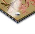 Album van Eeden : Haarlems flora : 1872-1881 Acrylic print