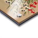 Album van Eeden : Haarlems flora : 1872-1881 Acrylic print