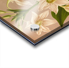 Album van Eeden : Haarlems flora : 1872-1881 Acrylic print