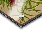 Album van Eeden : Haarlems flora : 1872-1881 Acrylic print