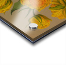 Album van Eeden : Haarlems flora : 1872-1881 Acrylic print