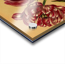 Album van Eeden : Haarlems flora : 1872-1881 Acrylic print