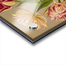 Album van Eeden : Haarlems flora : 1872-1881 Acrylic print