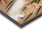 Album van Eeden : Haarlems flora : 1872-1881 Acrylic print