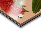 Album van Eeden : Haarlems flora : 1872-1881 Acrylic print