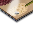 Album van Eeden : Haarlems flora : 1872-1881 Acrylic print