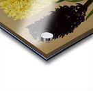 Album van Eeden : Haarlems flora : 1872-1881 Acrylic print