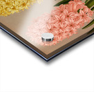 Album van Eeden : Haarlems flora : 1872-1881 Acrylic print