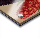 Album van Eeden : Haarlems flora : 1872-1881 Acrylic print