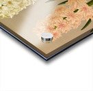 Album van Eeden : Haarlems flora : 1872-1881 Acrylic print