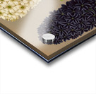 Album van Eeden : Haarlems flora : 1872-1881 Acrylic print