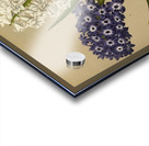 Album van Eeden : Haarlems flora : 1872-1881 Acrylic print