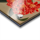 Album van Eeden : Haarlems flora : 1872-1881 Acrylic print