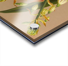 Album van Eeden : Haarlems flora : 1872-1881 Acrylic print