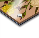 Album van Eeden : Haarlems flora : 1872-1881 Acrylic print