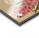 Album van Eeden : Haarlems flora : 1872-1881 Acrylic print