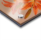 Album van Eeden : Haarlems flora : 1872-1881 Acrylic print