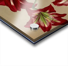 Album van Eeden : Haarlems flora : 1872-1881 Acrylic print