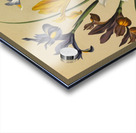 Album van Eeden : Haarlems flora : 1872-1881 Acrylic print