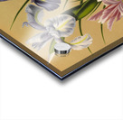 Album van Eeden : Haarlems flora : 1872-1881 Acrylic print