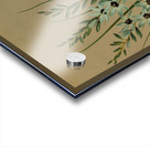 Album van Eeden : Haarlems flora : 1872-1881 Acrylic print