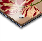 Album van Eeden : Haarlems flora : 1872-1881 Impression Acrylique