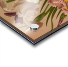 Album van Eeden : Haarlems flora : 1872-1881 Acrylic print