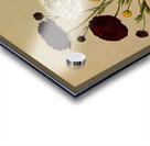 Album van Eeden : Haarlems flora : 1872-1881 Acrylic print