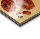 Album van Eeden : Haarlems flora : 1872-1881 Acrylic print