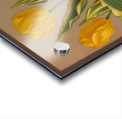 Album van Eeden : Haarlems flora : 1872-1881 Acrylic print