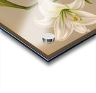 Album van Eeden : Haarlems flora : 1872-1881 Acrylic print