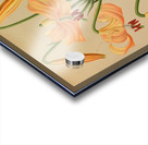 Album van Eeden : Haarlems flora : 1872-1881 Acrylic print