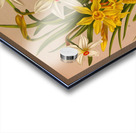 Album van Eeden : Haarlems flora : 1872-1881 Acrylic print