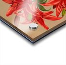 Album van Eeden : Haarlems flora : 1872-1881 Acrylic print