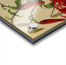 Album van Eeden : Haarlems flora : 1872-1881 Acrylic print