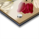 Album van Eeden : Haarlems flora : 1872-1881 Acrylic print