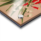 Album van Eeden : Haarlems flora : 1872-1881 Acrylic print