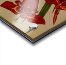 Album van Eeden : Haarlems flora : 1872-1881 Acrylic print