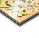 Album van Eeden : Haarlems flora : 1872-1881 Acrylic print