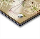 Album van Eeden : Haarlems flora : 1872-1881 Acrylic print