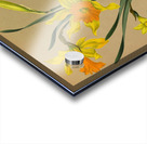 Album van Eeden : Haarlems flora : 1872-1881 Acrylic print