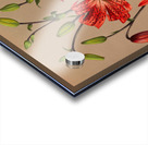 Album van Eeden : Haarlems flora : 1872-1881 Acrylic print