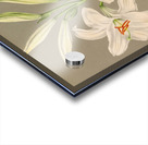 Album van Eeden : Haarlems flora : 1872-1881 Impression Acrylique