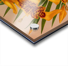 Album van Eeden : Haarlems flora : 1872-1881 Acrylic print