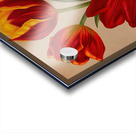 Album van Eeden : Haarlems flora : 1872-1881 Acrylic print