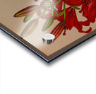 Album van Eeden : Haarlems flora : 1872-1881 Acrylic print