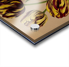 Album van Eeden : Haarlems flora : 1872-1881 Acrylic print