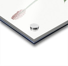 Swamp pink  illustration  Acrylic print